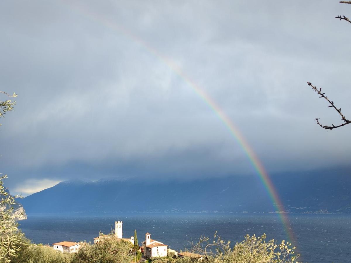 Agriturismo L'Uliveto Bora Bora Cameră foto